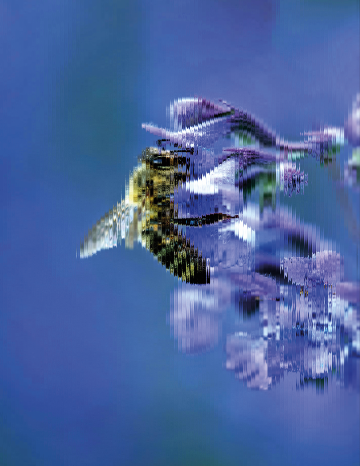 L’Altro Suono Festival 2026